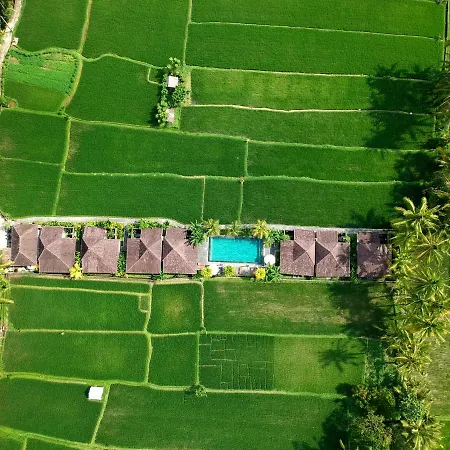 Pajar House Ubud Suite & Villas