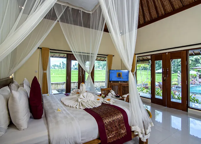 Hotel Pajar House & 3*