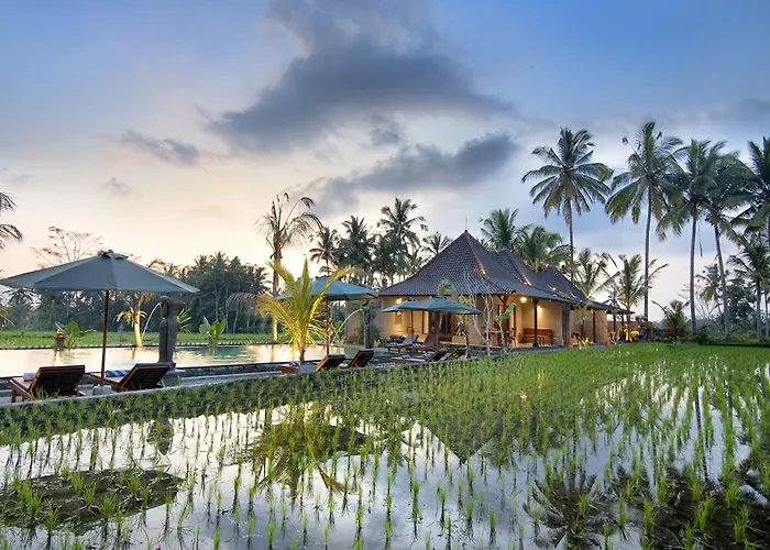 Hotel Pajar House & 3*