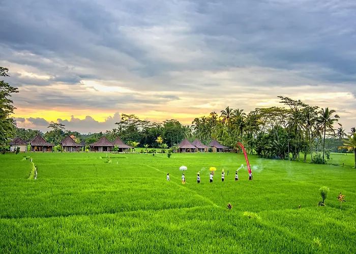 Hotel Pajar House & 3*