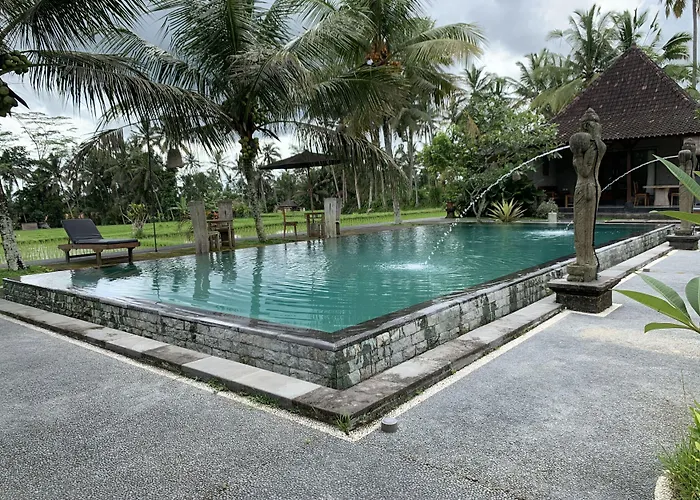 Pajar House &